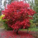 org:/landingpages/winnaars DK NO SE/24e-prize-scandinavie.jpg